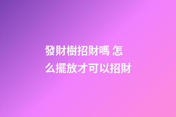 發財樹招財嗎 怎么擺放才可以招財